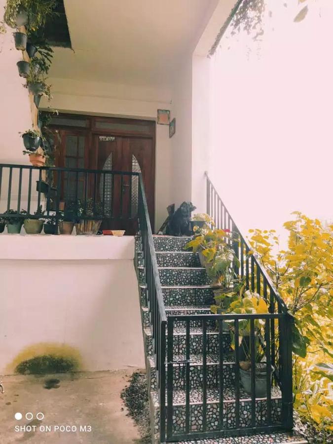 La Rose Guest House 努沃勒埃利耶 外观 照片