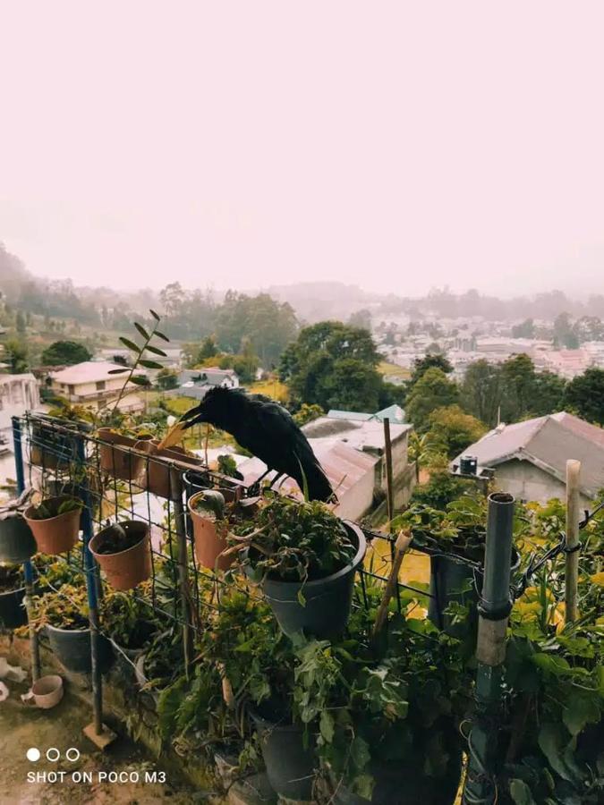 La Rose Guest House 努沃勒埃利耶 外观 照片