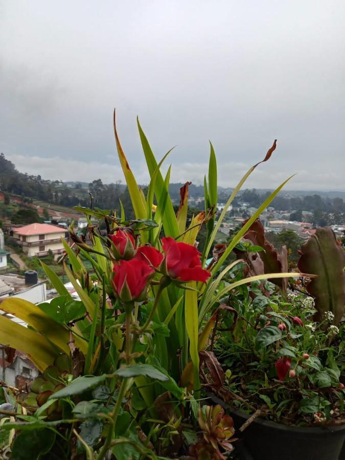 La Rose Guest House 努沃勒埃利耶 外观 照片